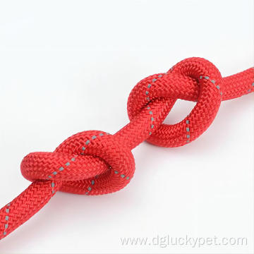 Hot Selling Pet Leash P-type Leash